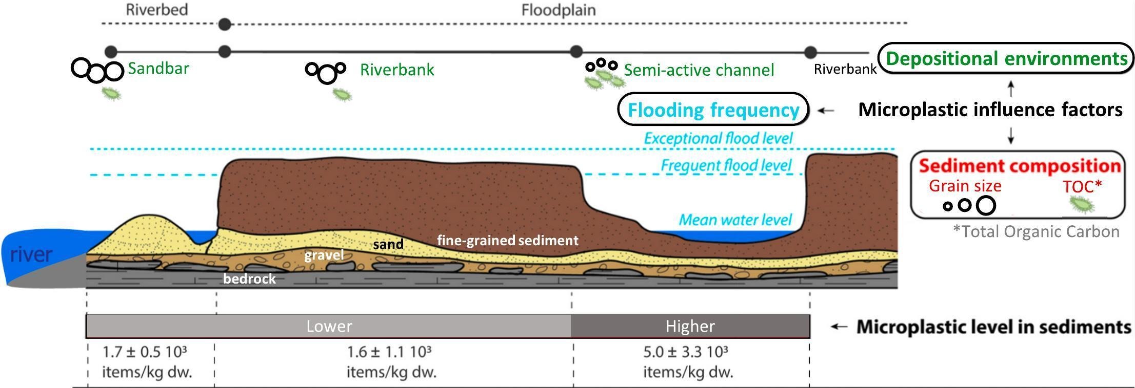 graphical abstract