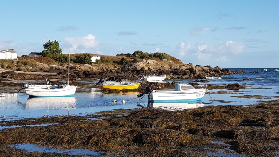 Aire Marine Educative du Marais Salé