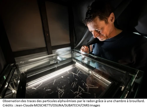 Observation des traces des particules alpha émises par le radon grâce à une chambre à brouillard. 
