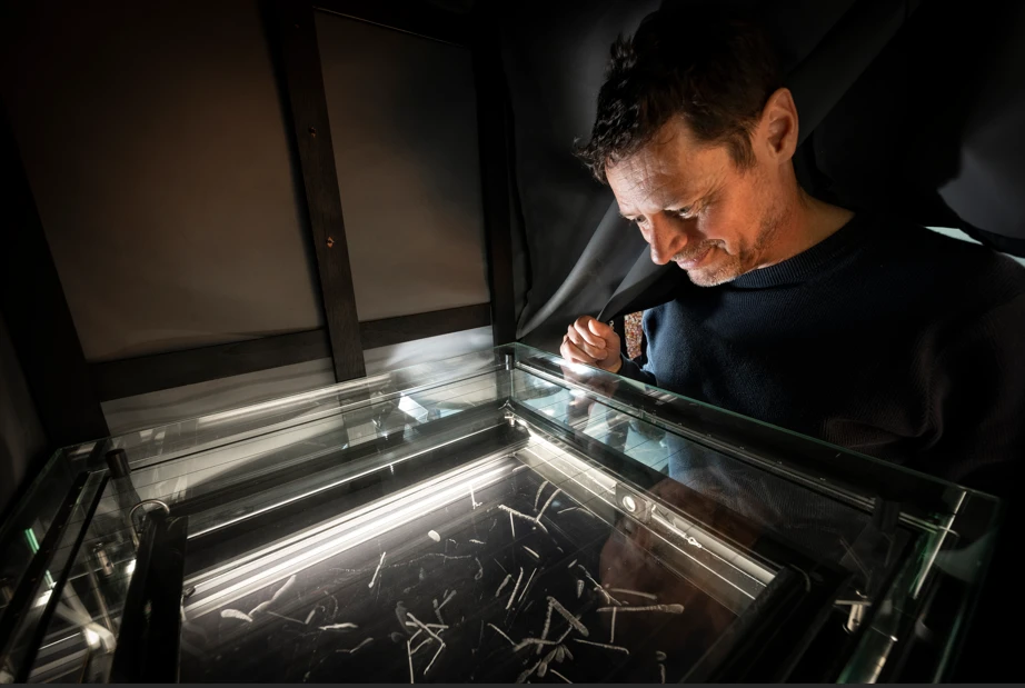 Observation des traces des particules alpha émises par le radon grâce à une chambre à brouillard. Crédits : Jean-Claude MOSCHETTI/OSUNA/SUBATECH/CNRS Images