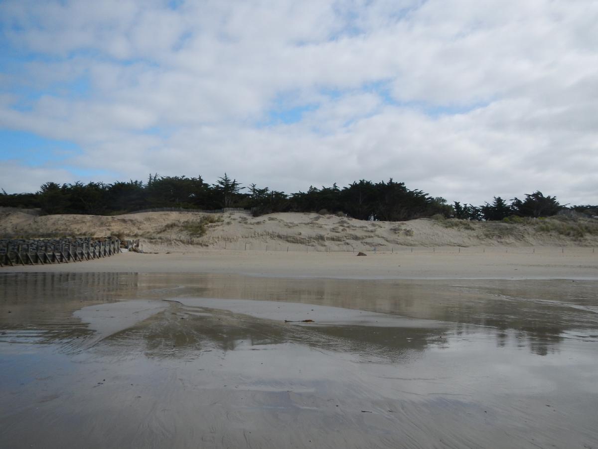 Plage et dune de la Martinière